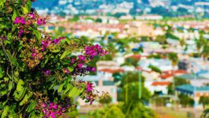 home prices