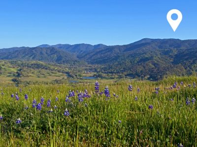 Carmel Valley ca-thumb