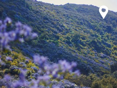 Valley Center CA-thumb